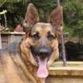 Jax