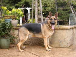 Jax