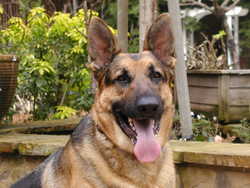 Jax