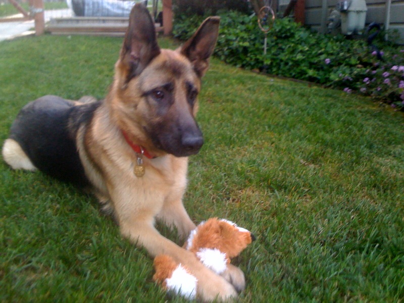 Nick