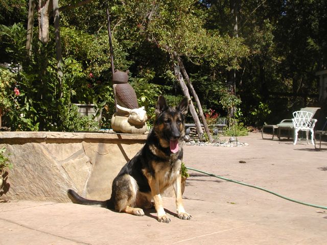 Bronson