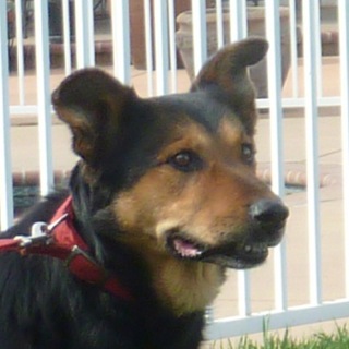 Mickey