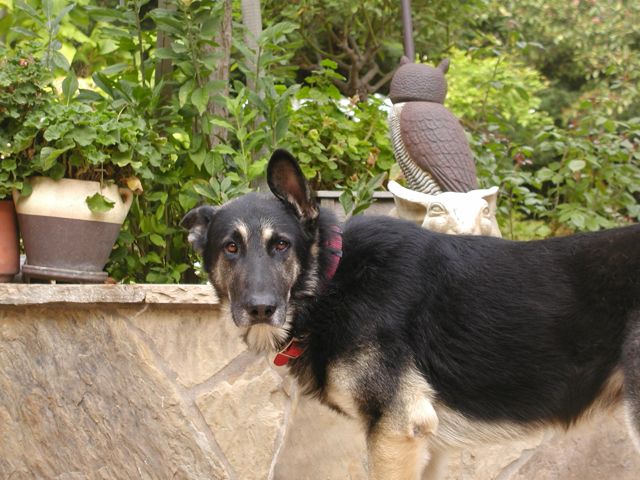 Prince