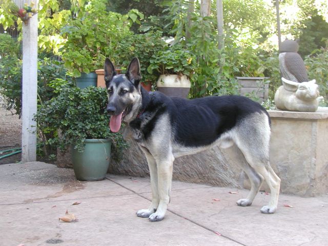 Romeo
