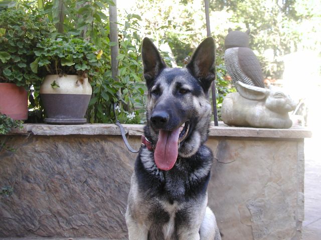 Romeo