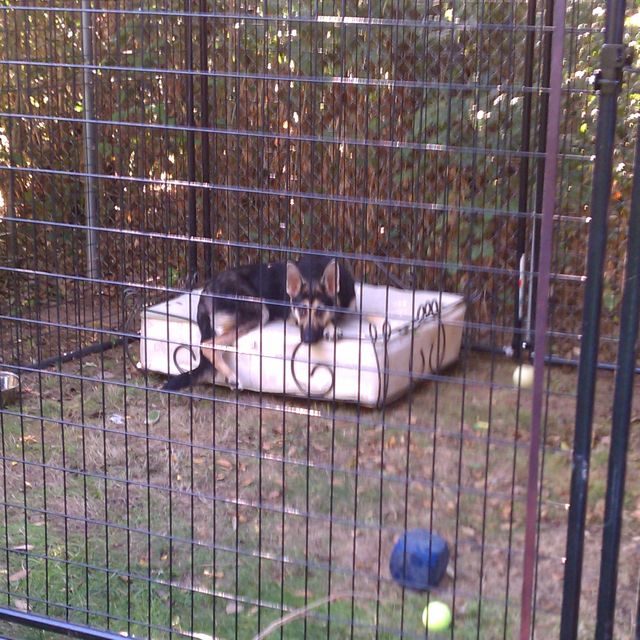 Abby