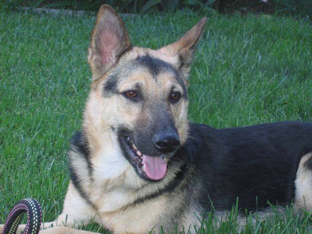 Nikko