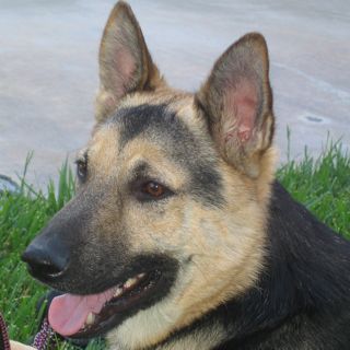 Nikko