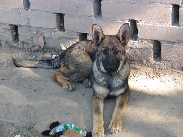 Kilo