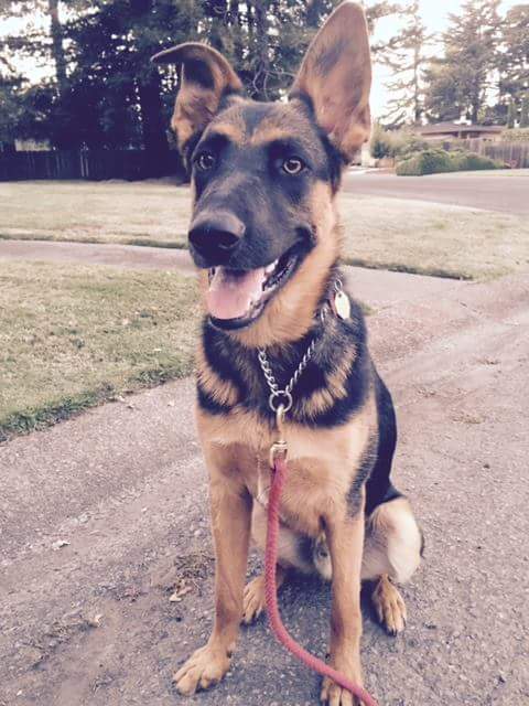 Malachi