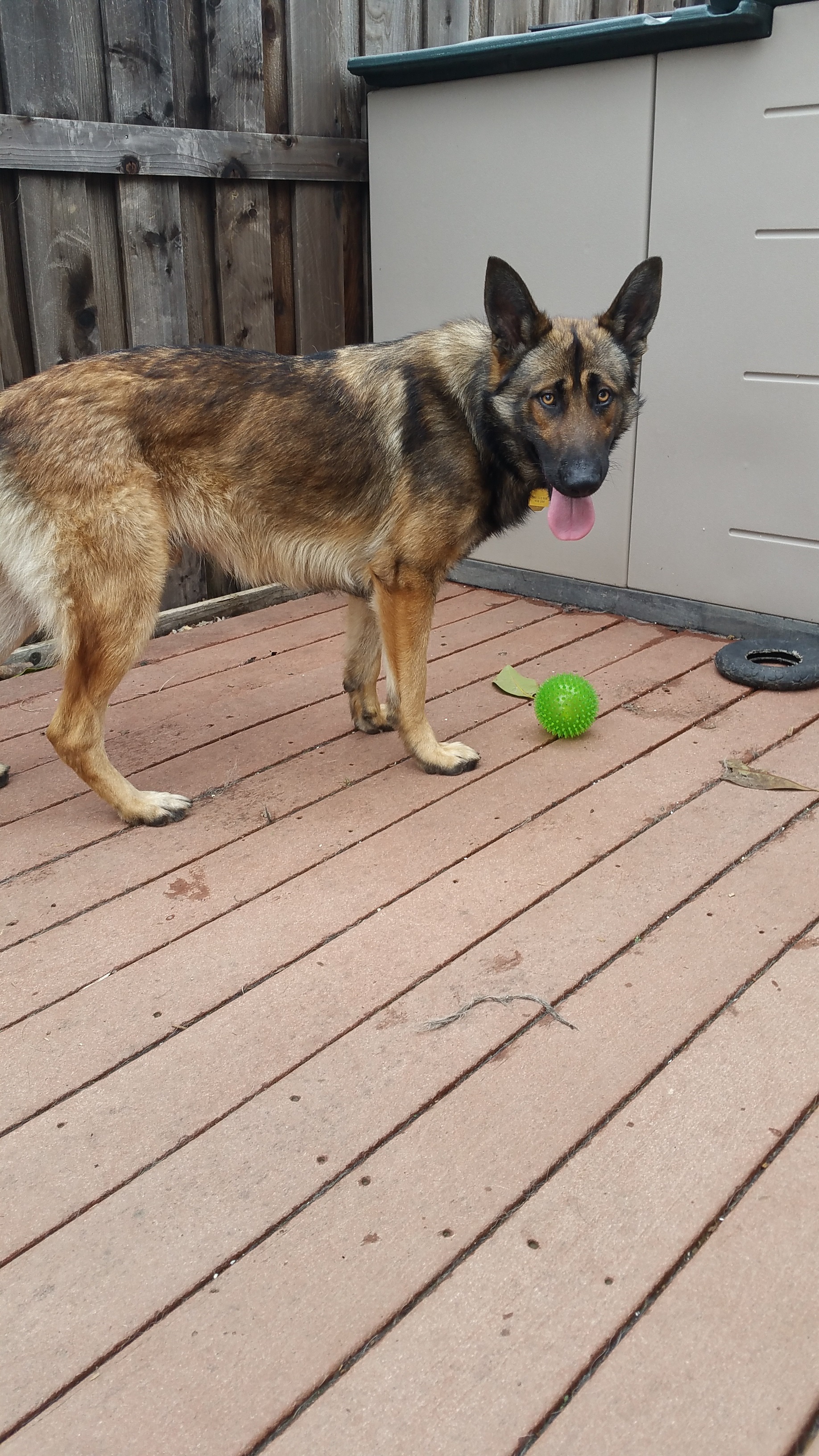 Timber