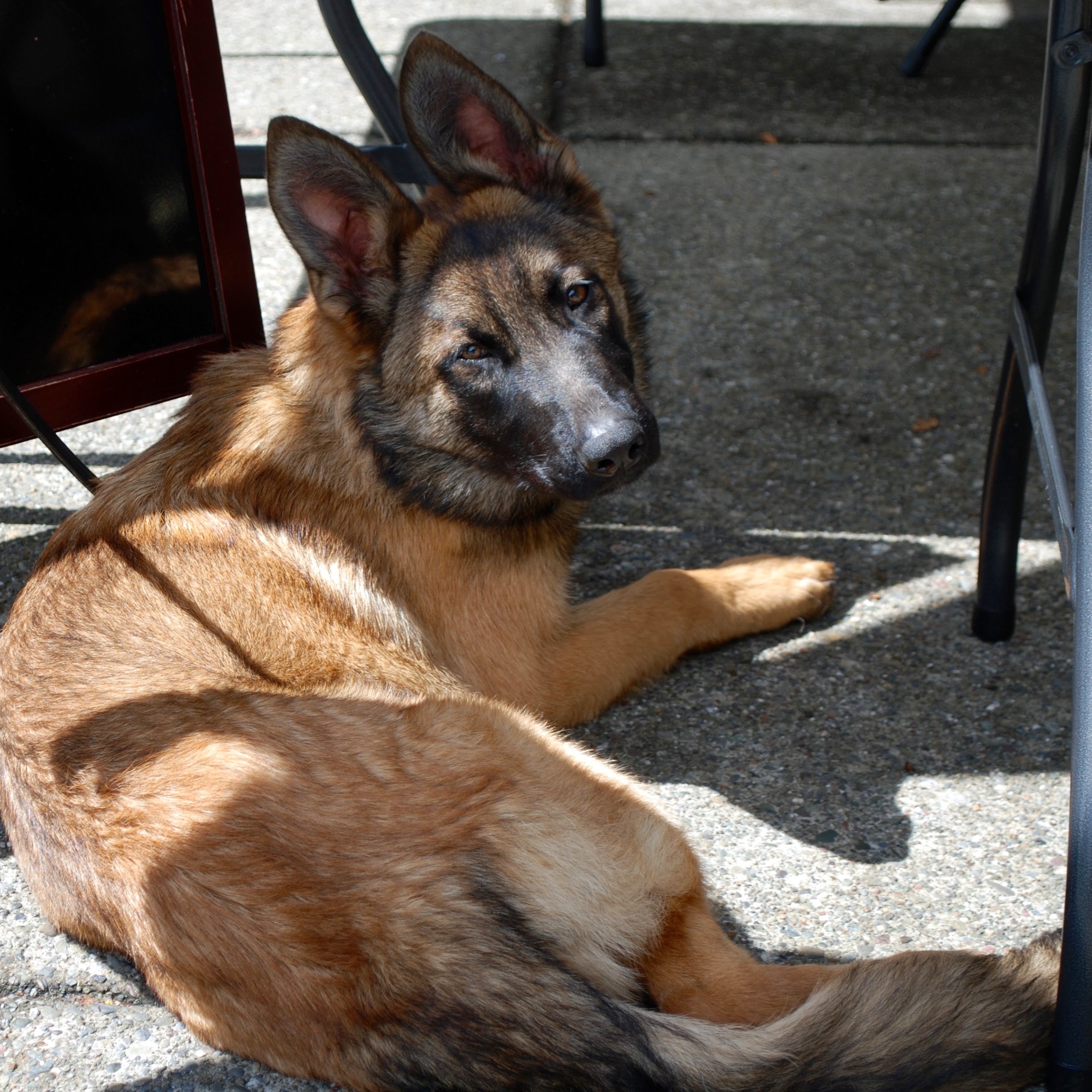 Kahlua