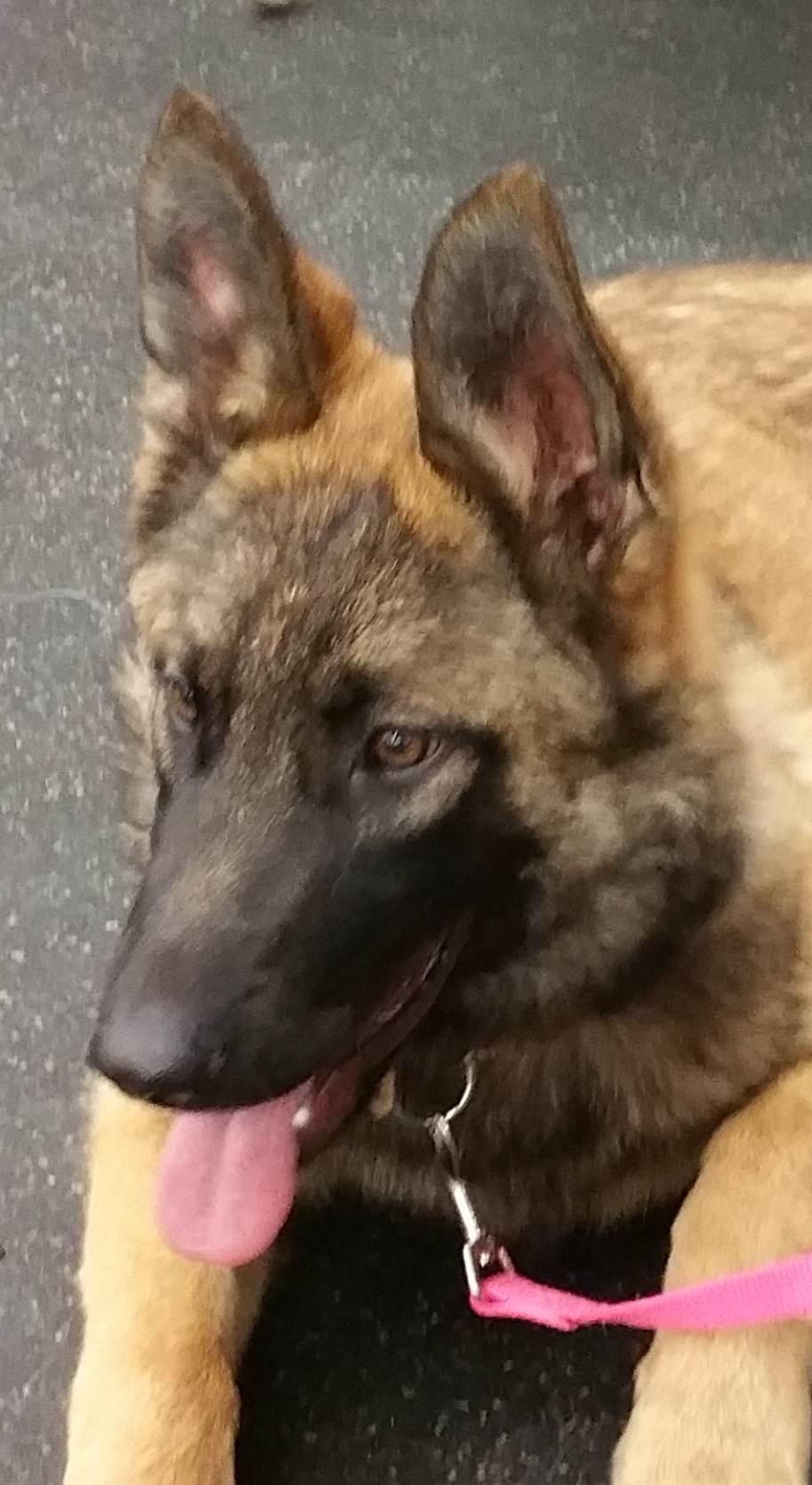Kahlua