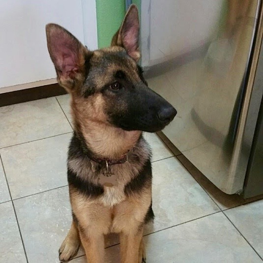Joni