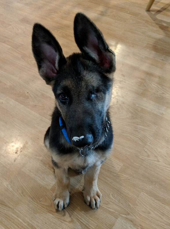 Baylen