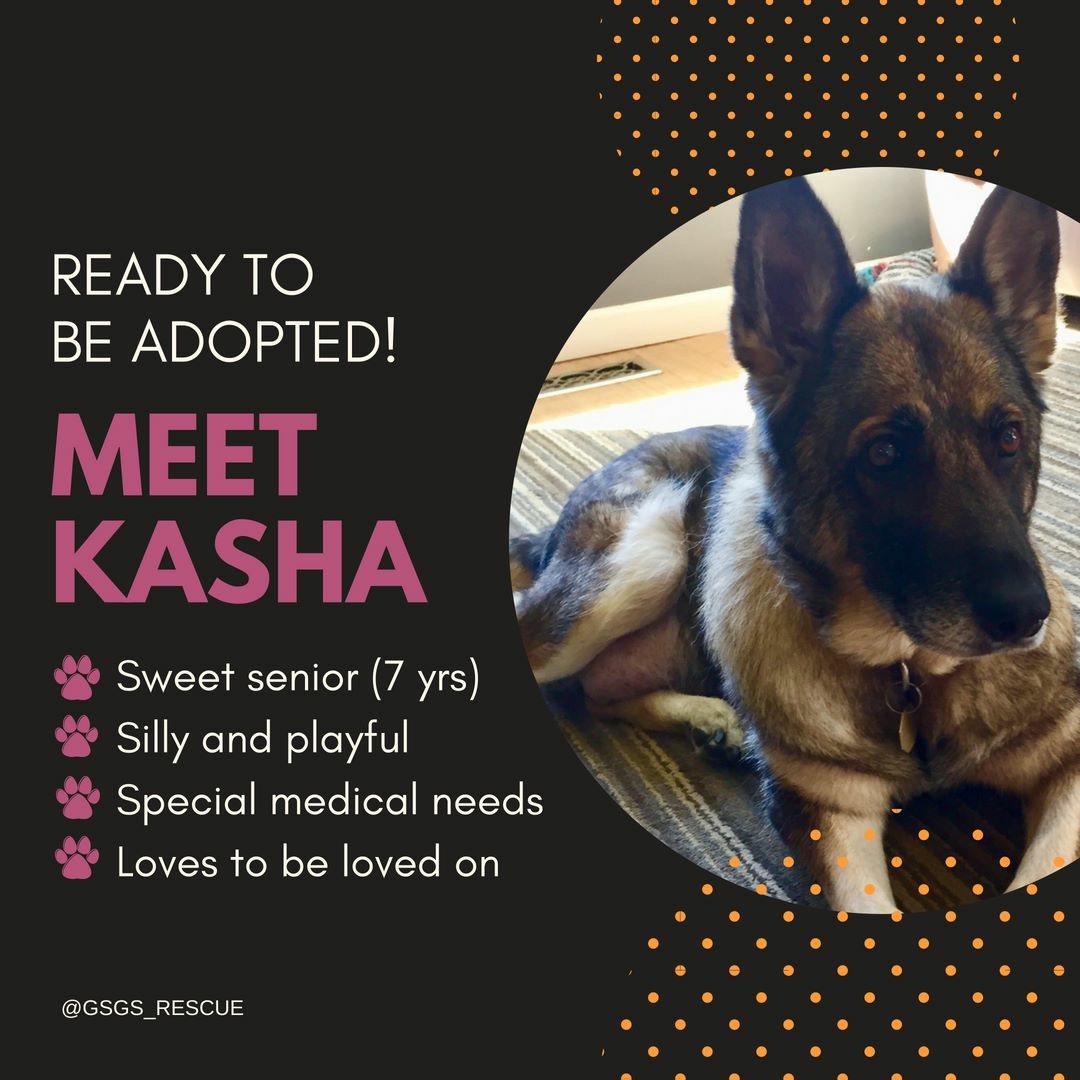 Kasha - Schulyer