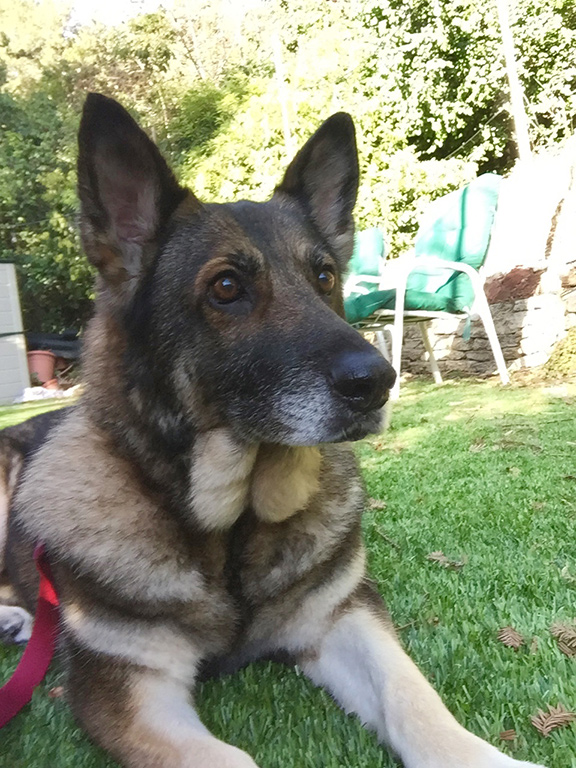 Kasha - Schulyer