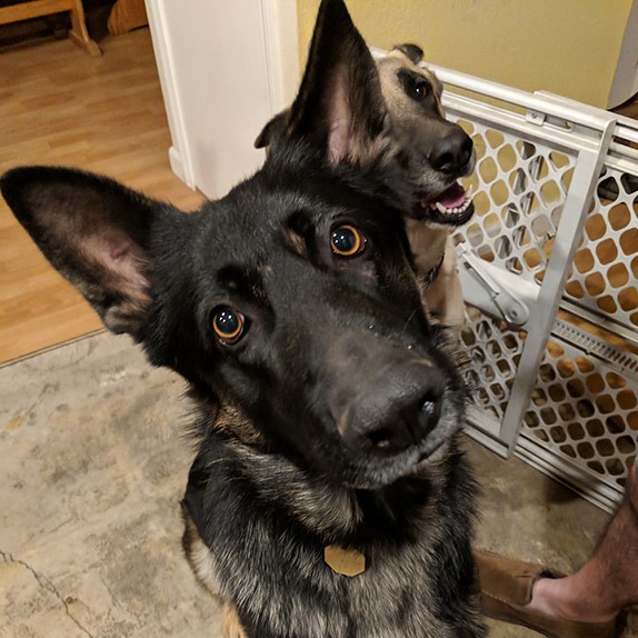 Remus