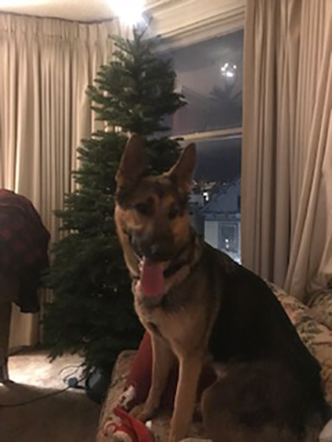 Sable
