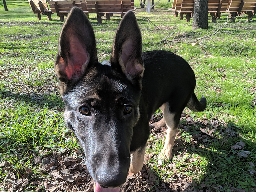 Feliz