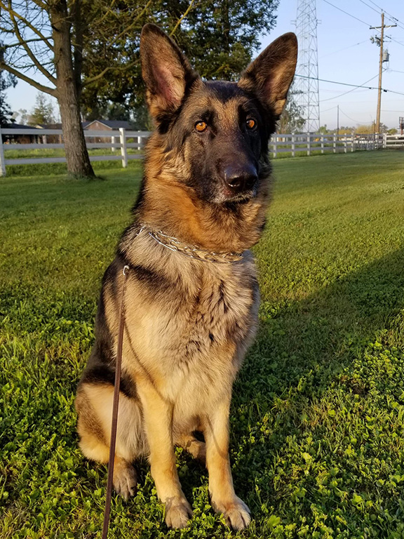 Maddie 
    </div>
    <div class=