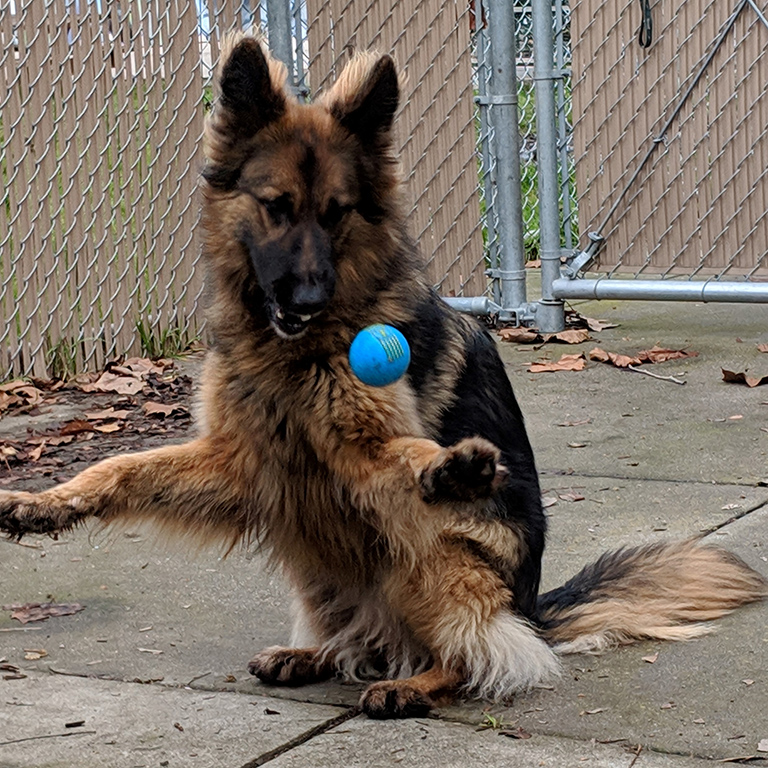 Luna Girl '19
