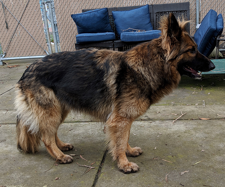 Luna Girl '19