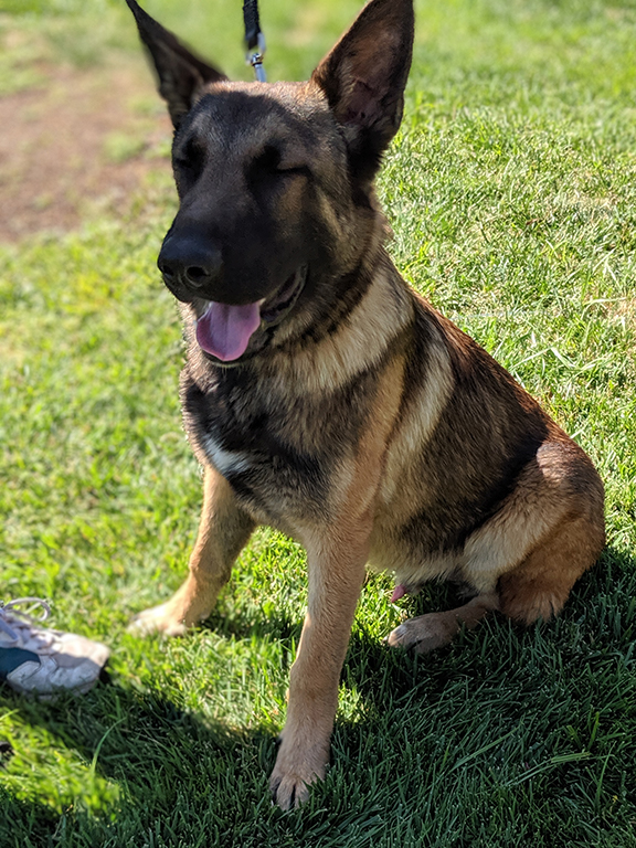 Alpha