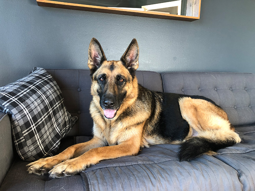Sebastian