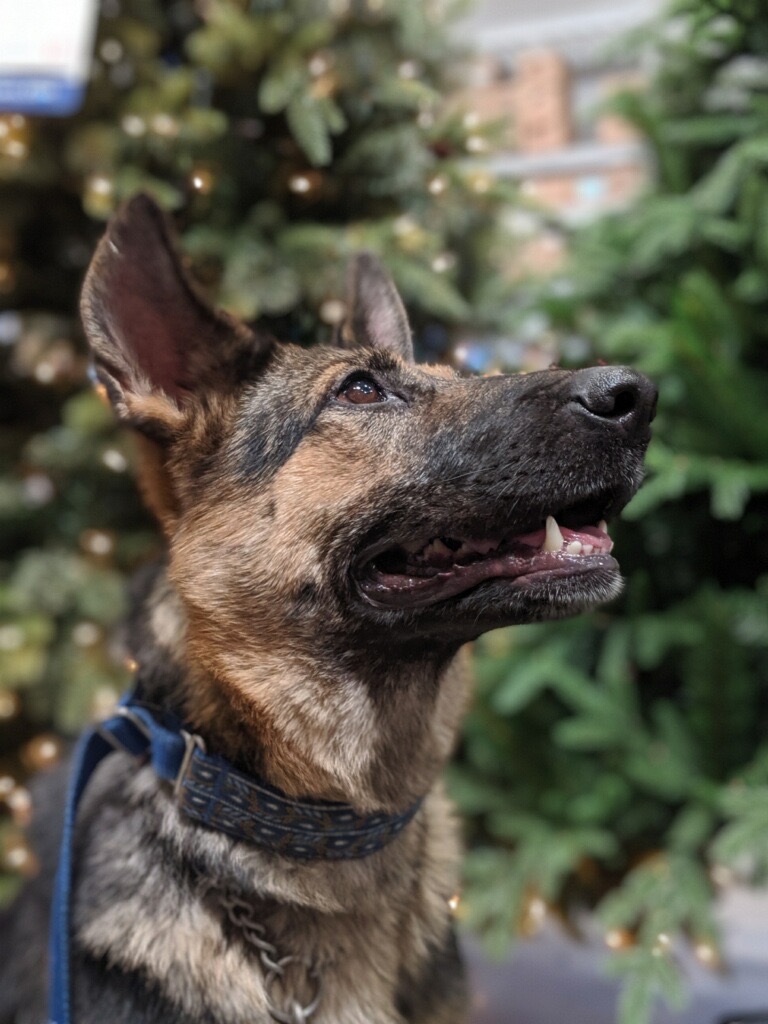 Nina