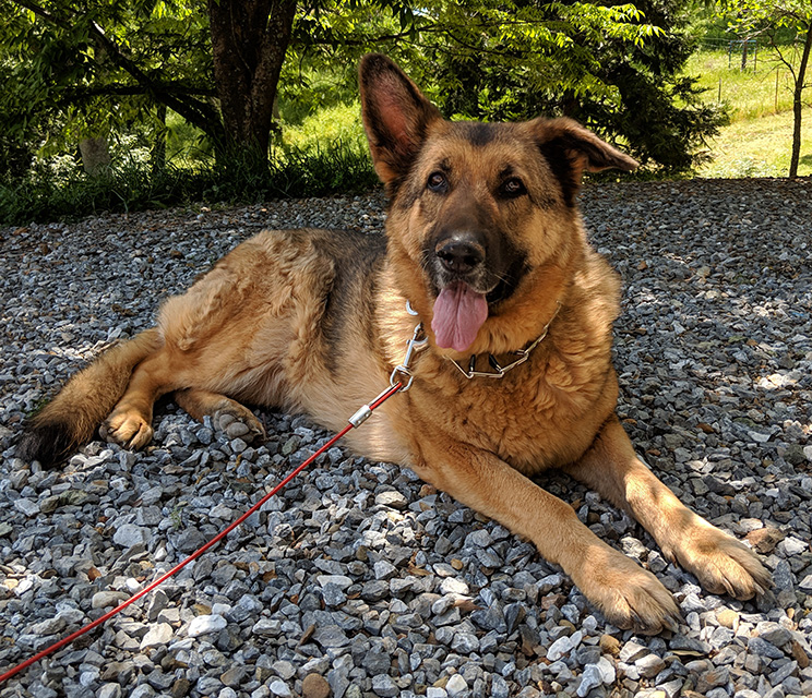 Kaia
