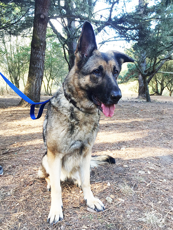 Kaia