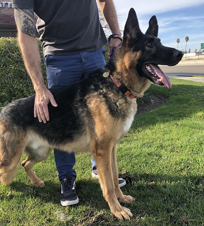 Maximus