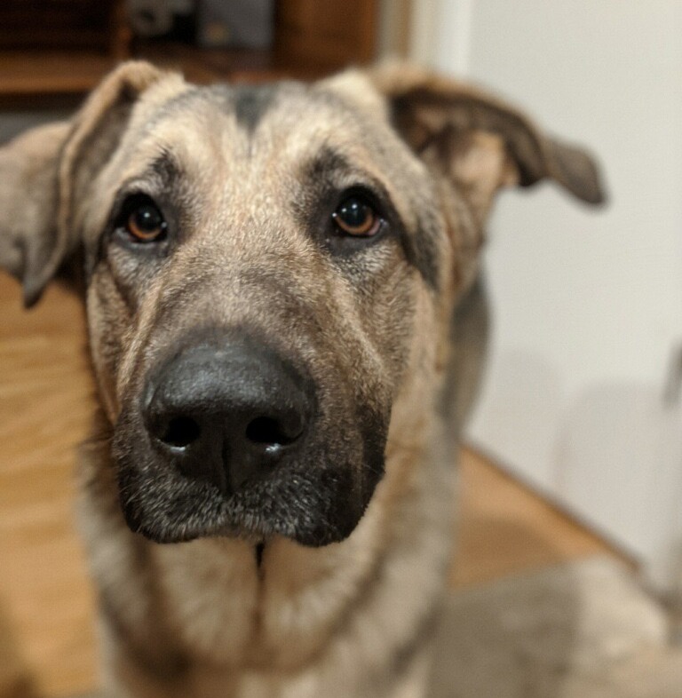 Tucker
