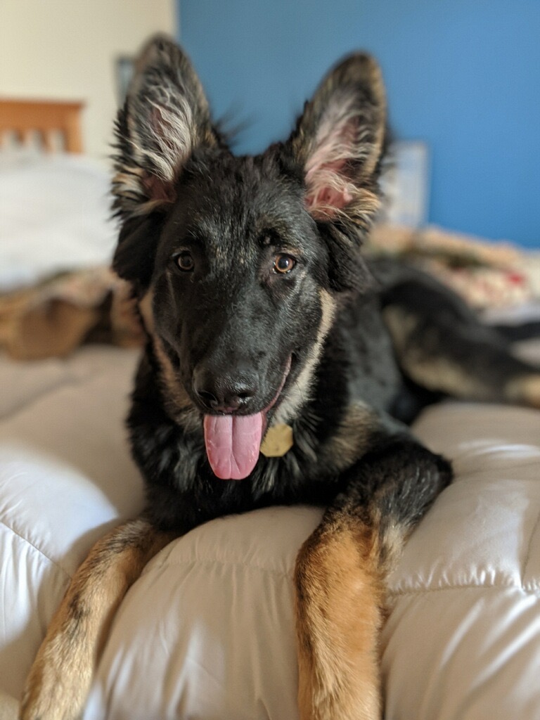 Kenai