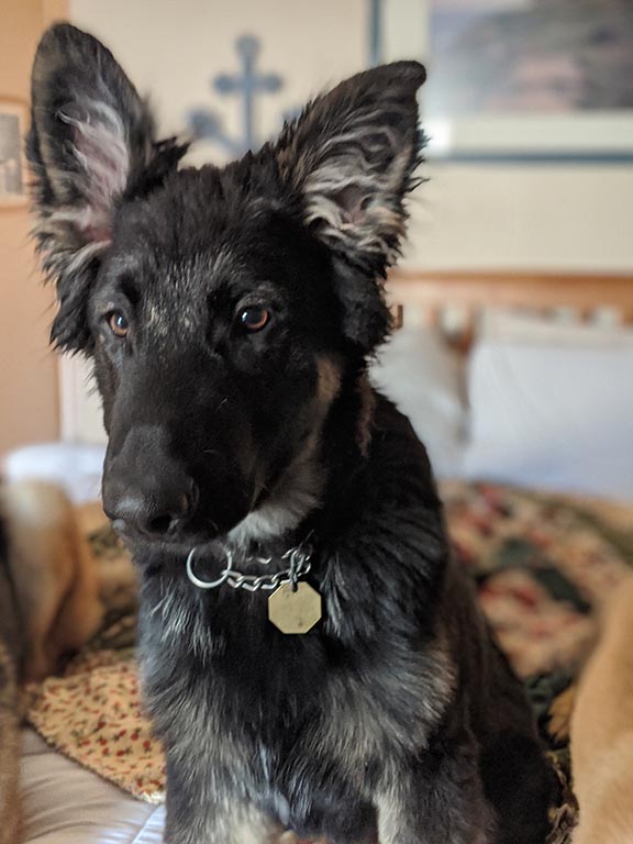 Kenai