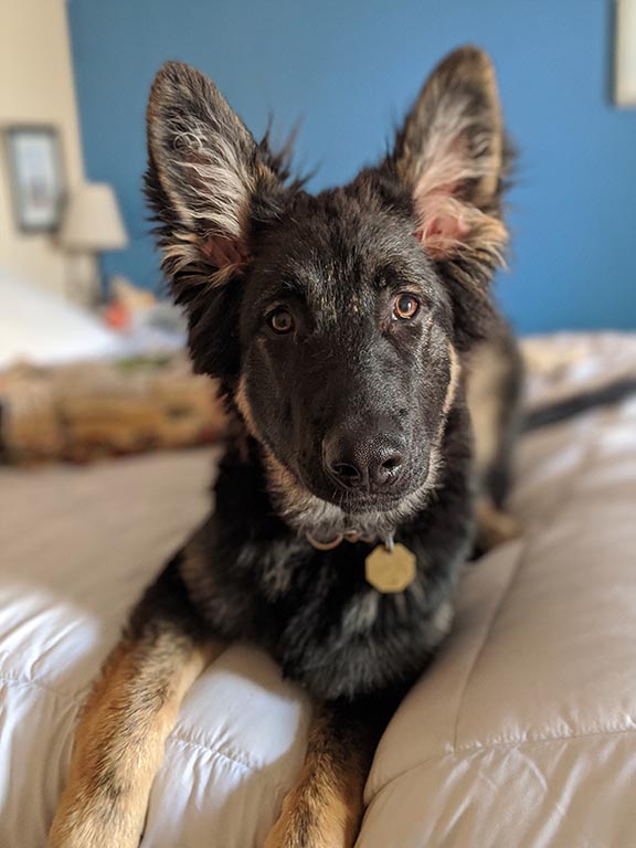 Kenai
