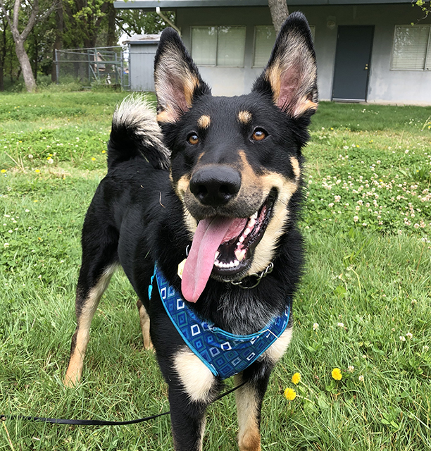 Damien 