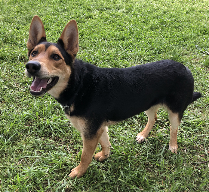 Fritzi