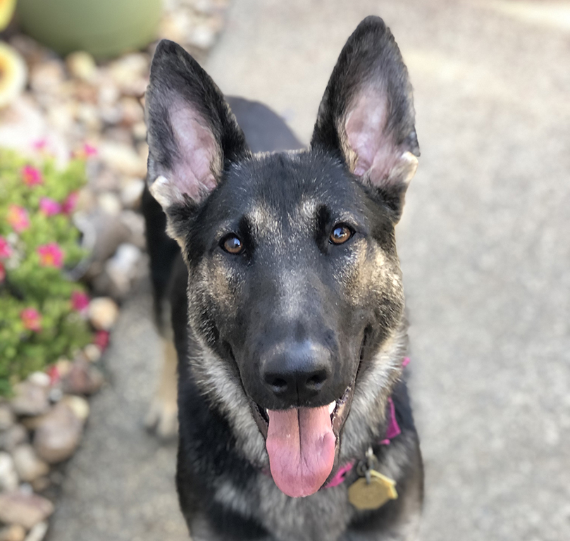 Reba '20