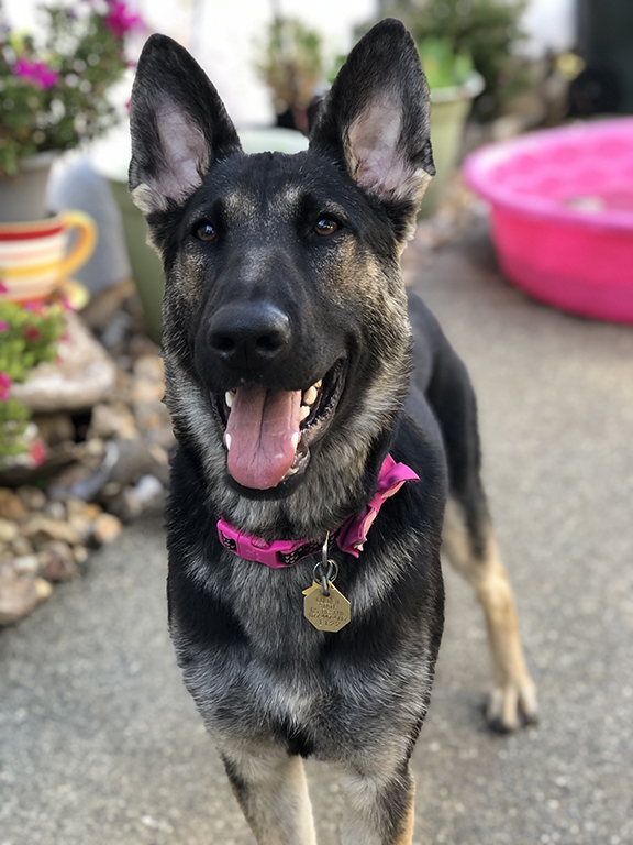 Reba '20