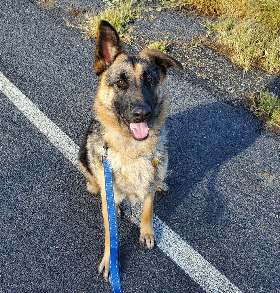 Shyla / Kaia