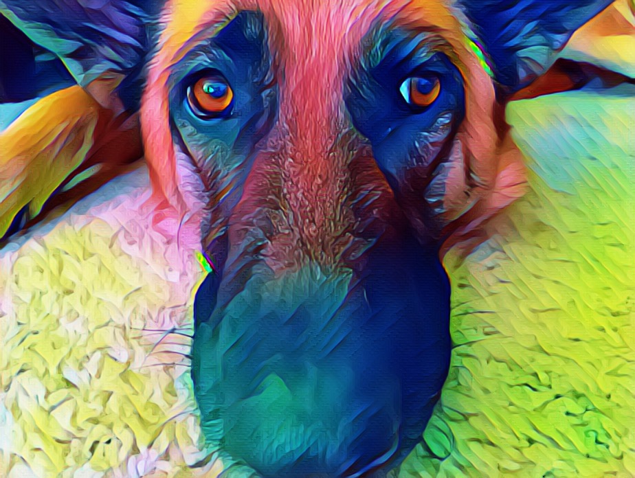 Riva
