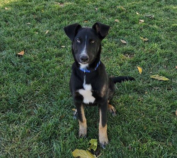 Murphy