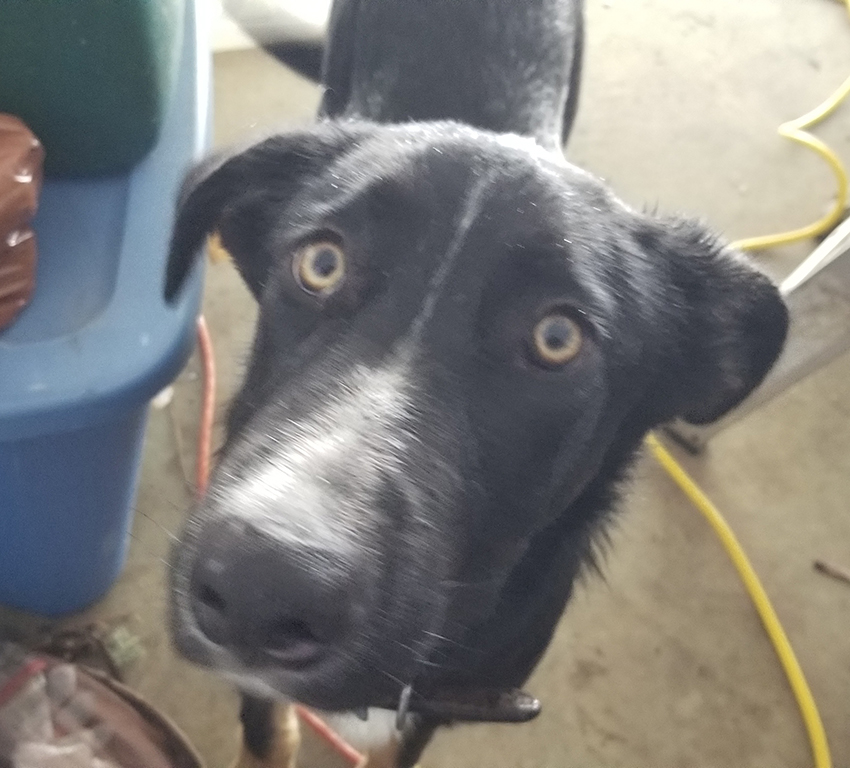 Murphy