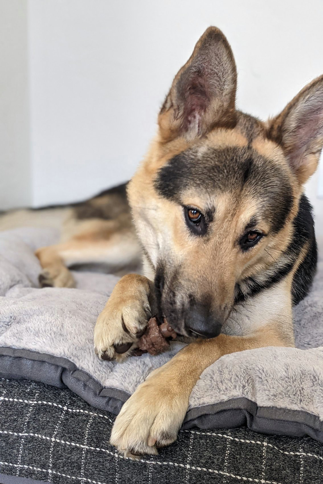 Odin