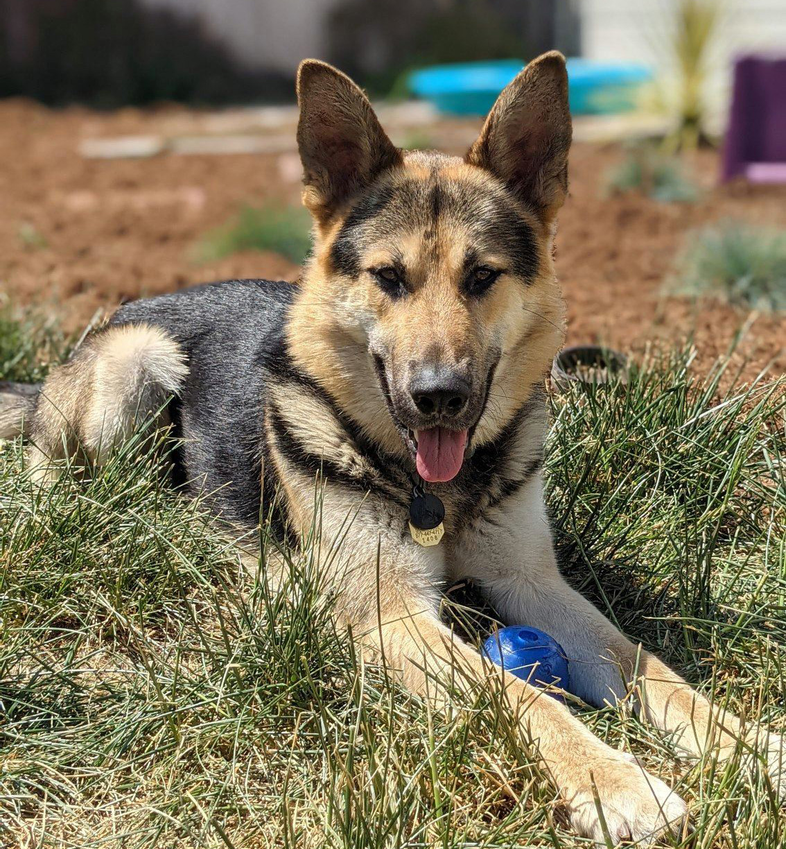 Odin