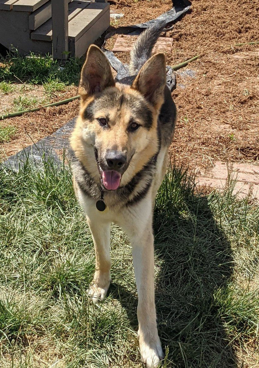 Odin
