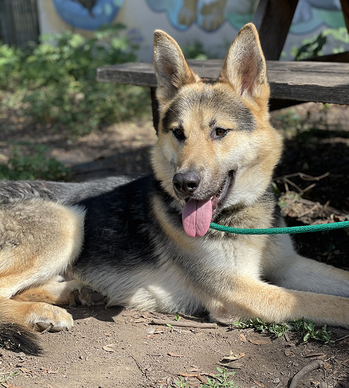 Odin