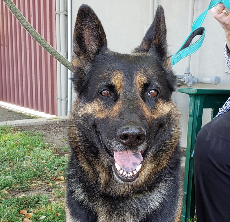 Maylene (Skye)
